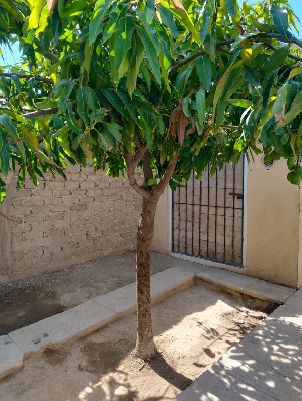 Casa unifamiliar en Chulavista, Tlajomulco